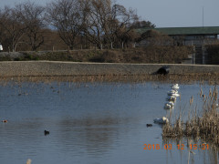 DSCN0504.JPG