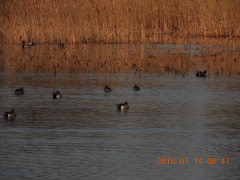 DSCN0523.JPG