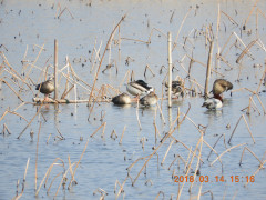 DSCN0542.JPG
