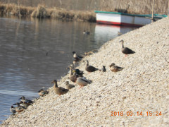 DSCN0553.JPG