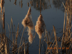 DSCN0538.JPG