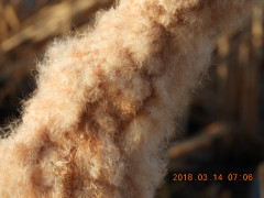 DSCN0539.JPG