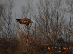 DSCN0518.JPG
