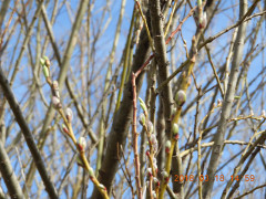 DSCN0572.JPG