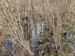 DSCN0573.JPG