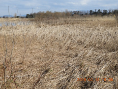 DSCN0576.JPG