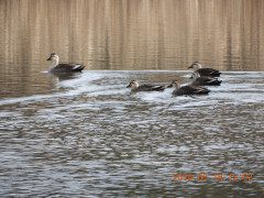 DSCN0578.JPG
