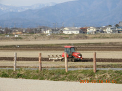 DSCN0599.JPG