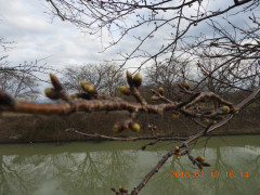 DSCN0605.JPG