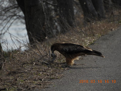 DSCN0604.JPG