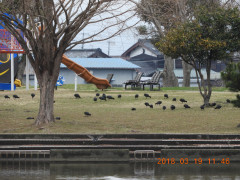 DSCN0616.JPG