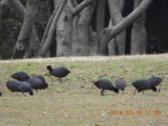 DSCN0641.JPG