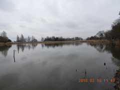 DSCN0618.JPG