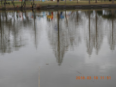 DSCN0627.JPG