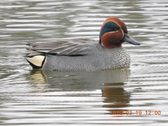 DSCN0644.JPG