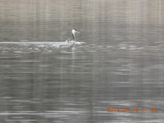 DSCN0633.JPG