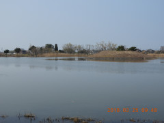 DSCN0654.JPG