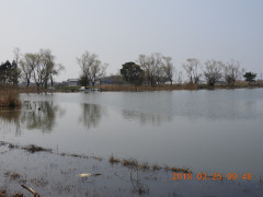 DSCN0653.JPG