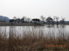 DSCN0656.JPG