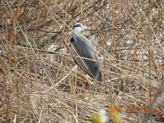 DSCN0658.JPG