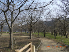 DSCN0659.JPG