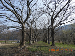 DSCN0660.JPG