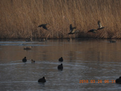 DSCN0745.JPG