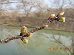 DSCN0813.JPG