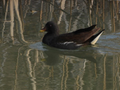 RSCN0814.JPG