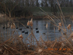 DSCN0740.JPG