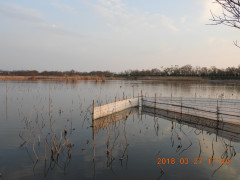 DSCN0836.JPG