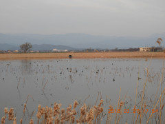 DSCN0848.JPG