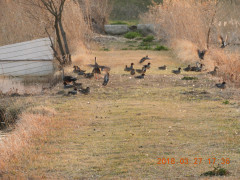 DSCN0830.JPG