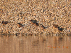 DSCN0829.JPG
