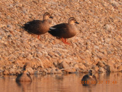 DSCN0846.JPG