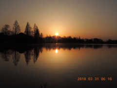 DSCN2381.JPG