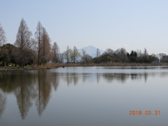 DSCN0956.JPG