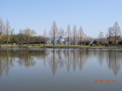 DSCN0958.JPG