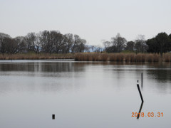 DSCN0957.JPG