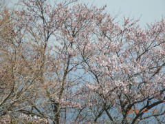 DSCN0959.JPG