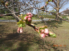 DSCN0962.JPG