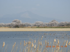 DSCN0970.JPG