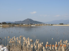 DSCN0975.JPG