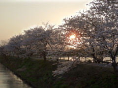 DSCN0978.JPG