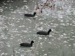 DSCN1042.JPG