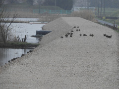 DSCN1044.JPG
