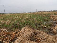 DSCN1057.JPG