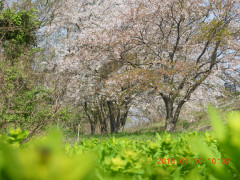 DSCN1074.JPG