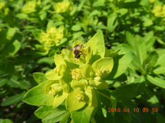DSCN1068.JPG