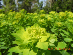 DSCN1066.JPG